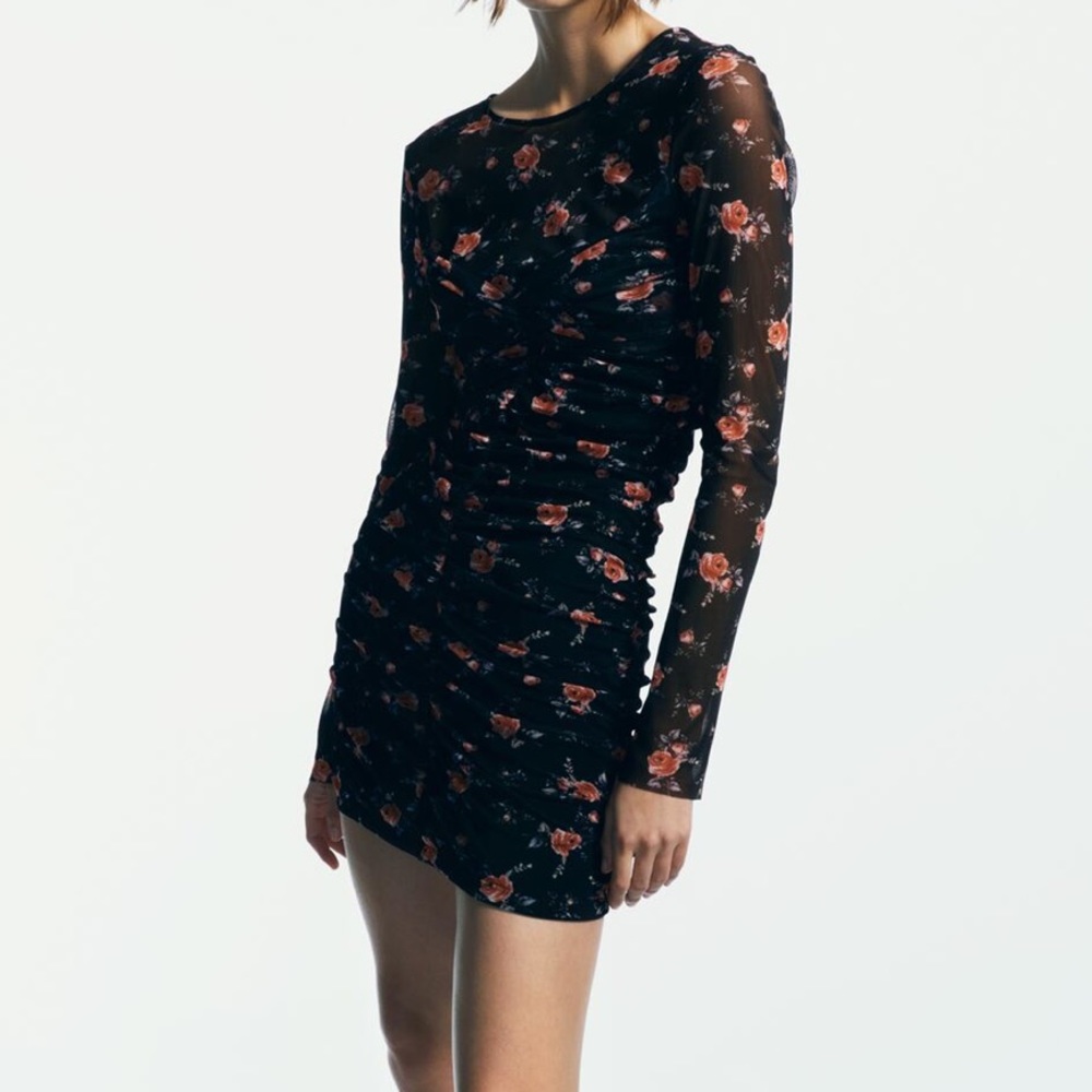 Zara Tulle Dress
